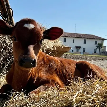 شقة Agriturismo Fattoria Primaluce - Quercia